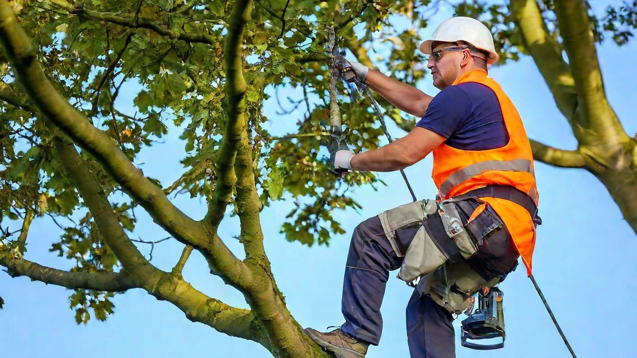 vi-tynner-kroner-i-stavanger